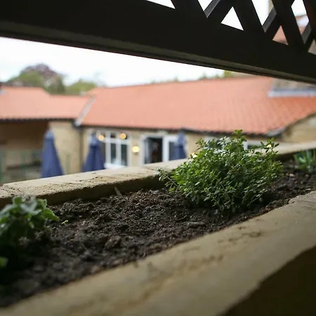 宾馆 Cresswell Arms 马尔顿